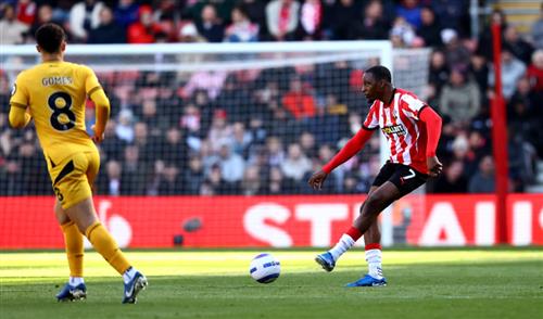 Southampton x Lobos