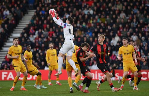 AFC Bournemouth x Lobos