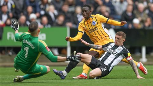 Newcastle United x Brighton