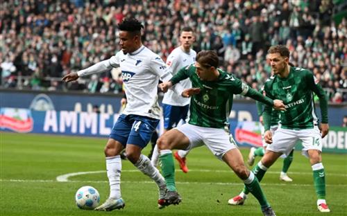 Werder Bremen x TSG Hoffenheim