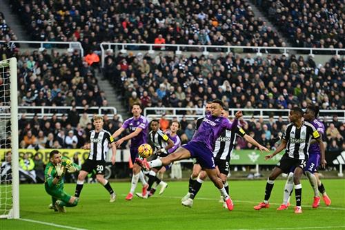 Newcastle United x Fulham