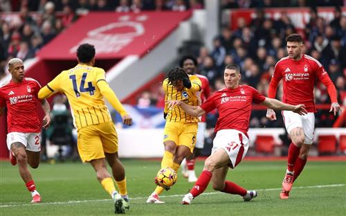 Nottingham Forest x Brighton