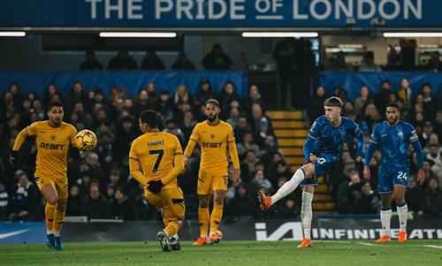 Chelsea x Lobos