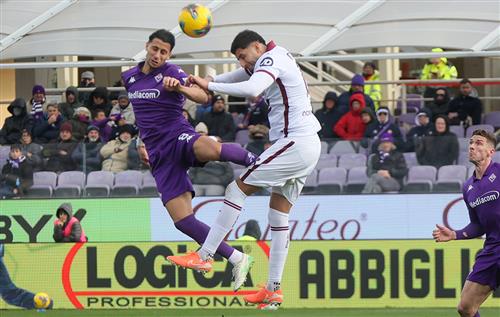 Fiorentina x Torino