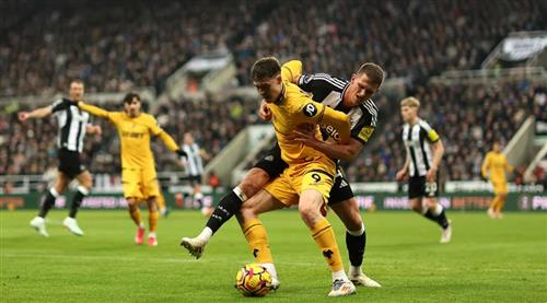 Newcastle United x Lobos