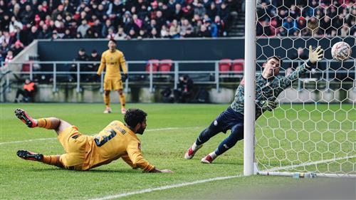 Bristol City x Lobos