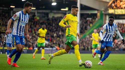 Norwich City x Brighton