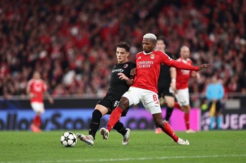 Benfica x Bolonha