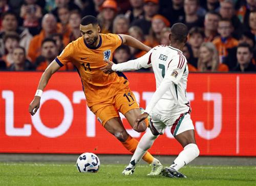 Holanda vs Hungria