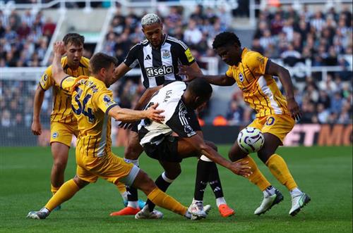 Newcastle United x Brighton