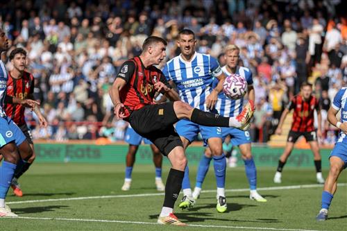 AFC Bournemouth x Brighton