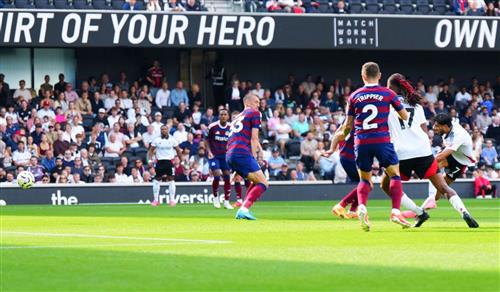 Fulham x Newcastle United