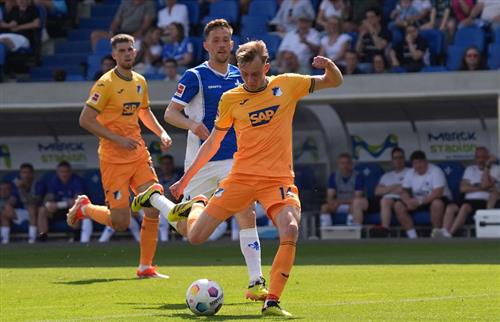 Darmstadt x TSG Hoffenheim