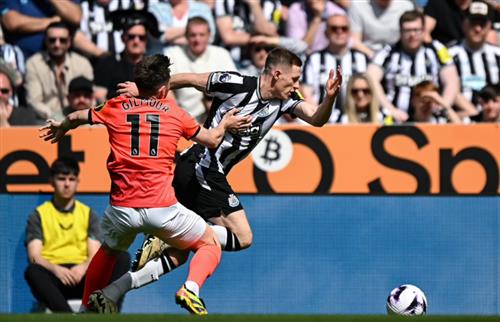 Newcastle United x Brighton
