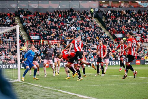 Sheffield United x Fulham