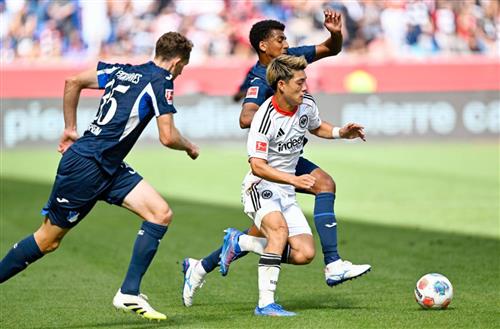 TSG Hoffenheim x Eintracht Frankfurt