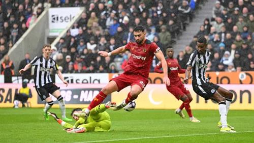 Newcastle United x Lobos