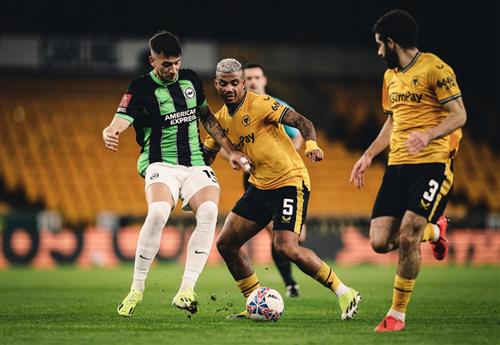 Lobos x Brighton