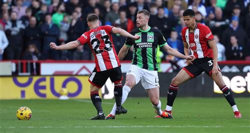 Sheffield United x Brighton