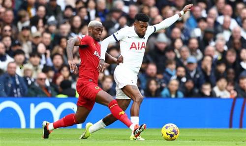 Tottenham Hotspur x Lobos