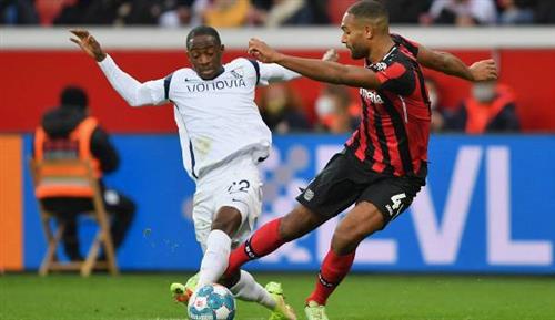 Resultados históricos de Leverkusen x Bochum