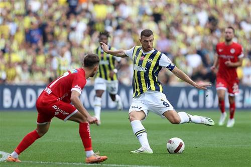 Nordzelândia x Fenerbahçe