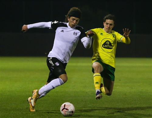 Fulham x Norwich City