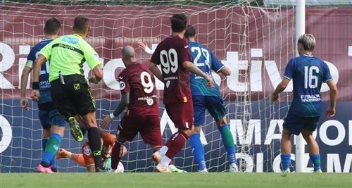 Torino x Ferralpizarro
