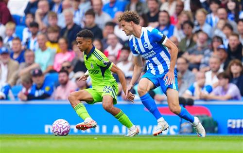 Brighton x Fulham