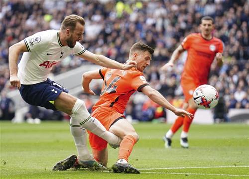 Tottenham Hotspur x Brighton