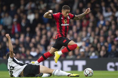 Bournemouth x Fulham