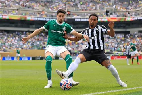 Palmeiras x Botafogo-RJ