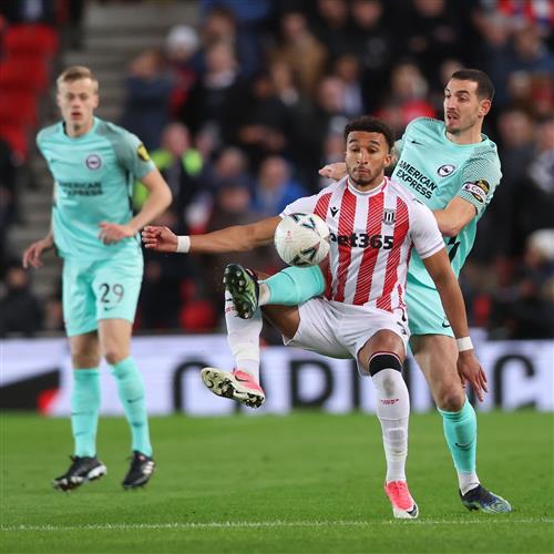 Stoke City x Brighton