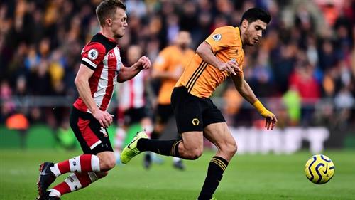 Southampton x Lobos