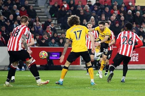 Brentford x Lobos