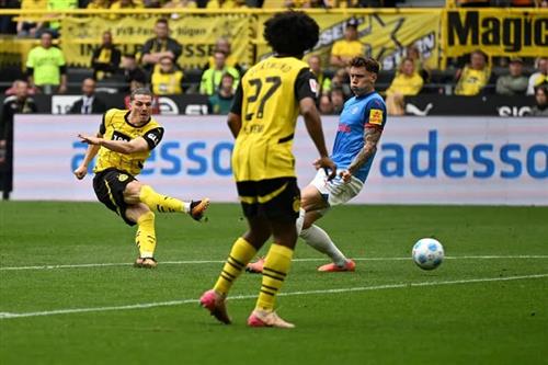 Dortmund x Kierholstein