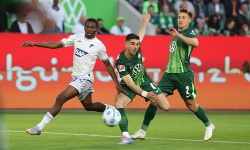 Vfl Wolfsburg x TSG Hoffenheim