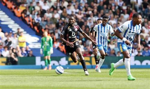 Brighton x Leicester City